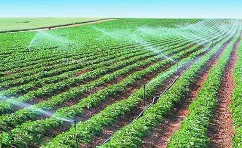 肏美女屄视频农田高 效节水灌溉